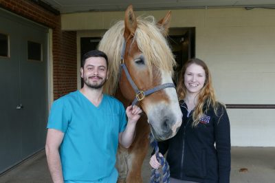 (From left) Resident Antônio Beck Júnior, King, and Elsa Ludwig, clinical assistant professor of equine surgery.